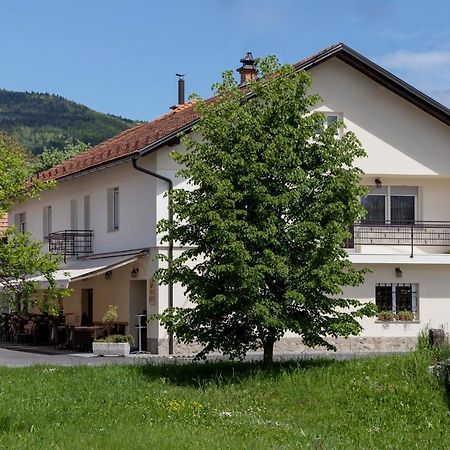 Guesthouse & Apartments Pri Stani Zerovnica エクステリア 写真