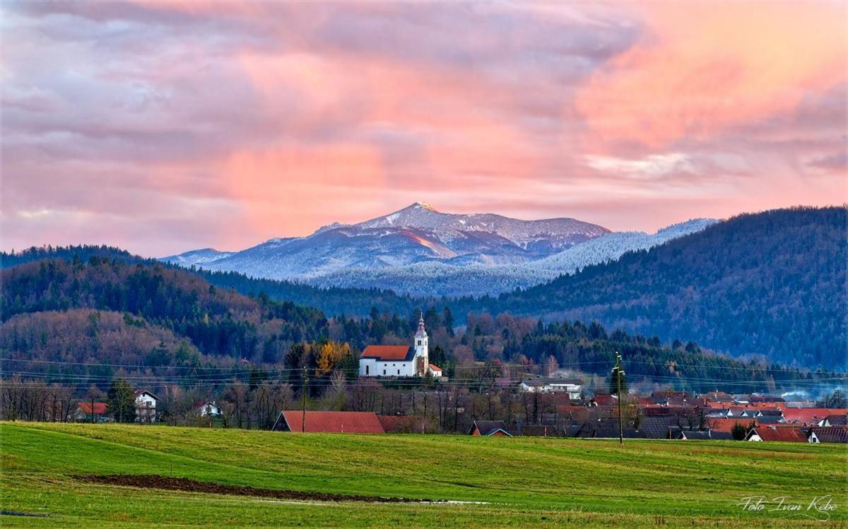 Guesthouse & Apartments Pri Stani Zerovnica エクステリア 写真